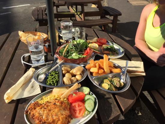 The Harvester