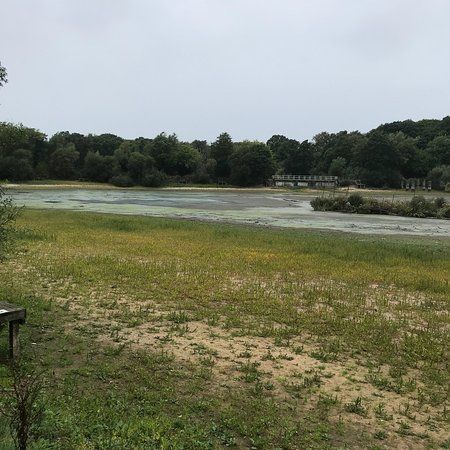Earlswood Lakes
