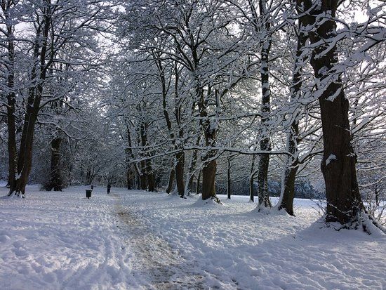 Dorridge Park